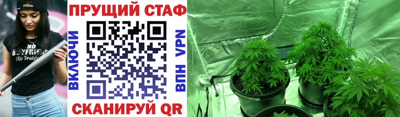 Купить закладку Лсд 25  МЕФ  Alpha-PVP  АМФ  ГАШ  Каннабис  Кокаин  Новотитаровская