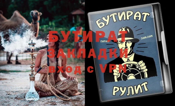 индика Алексин