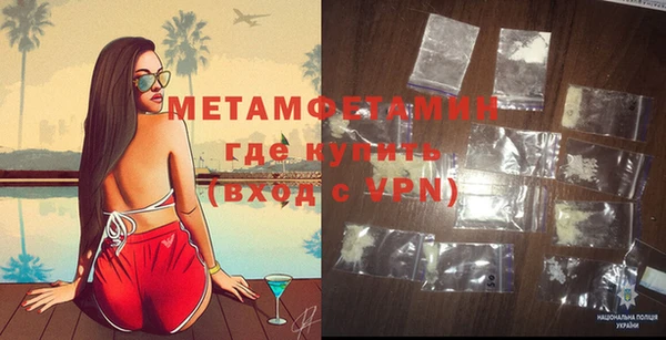 индика Алексин