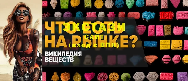 индика Алексин