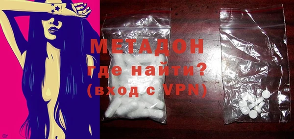 индика Алексин