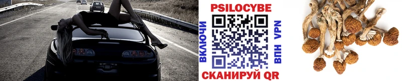 Купить закладки  Новотитаровская  Галлюциногенные грибы мицелий 